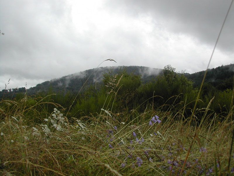 Aire naturelle de Saint-Julien le Petit