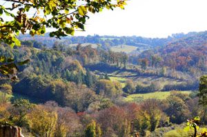 Sentier de l'étang des landes