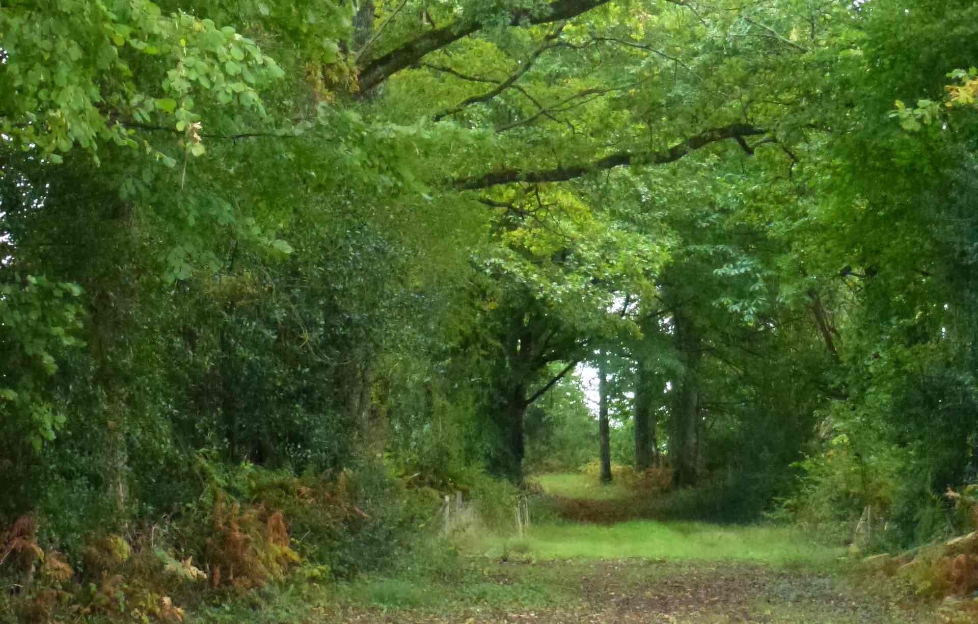 Chemin de Bonnefond