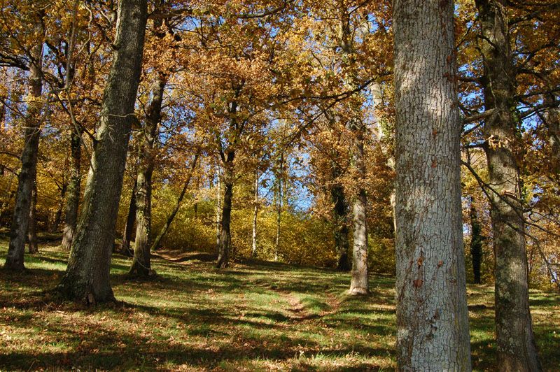 Sentier Le Bois du Curé et des mille Diables