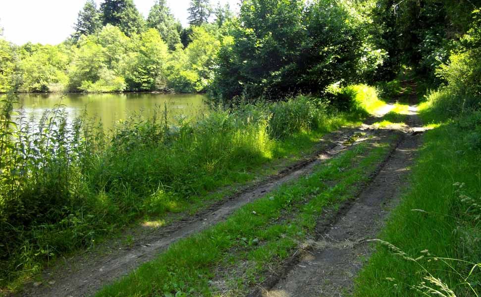 Chemin de Caux - La Mazière