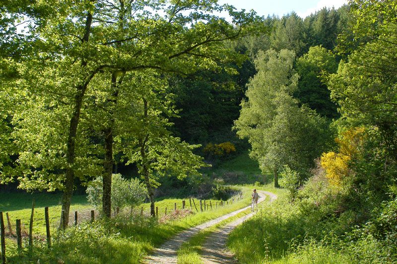 Sentier des étangs