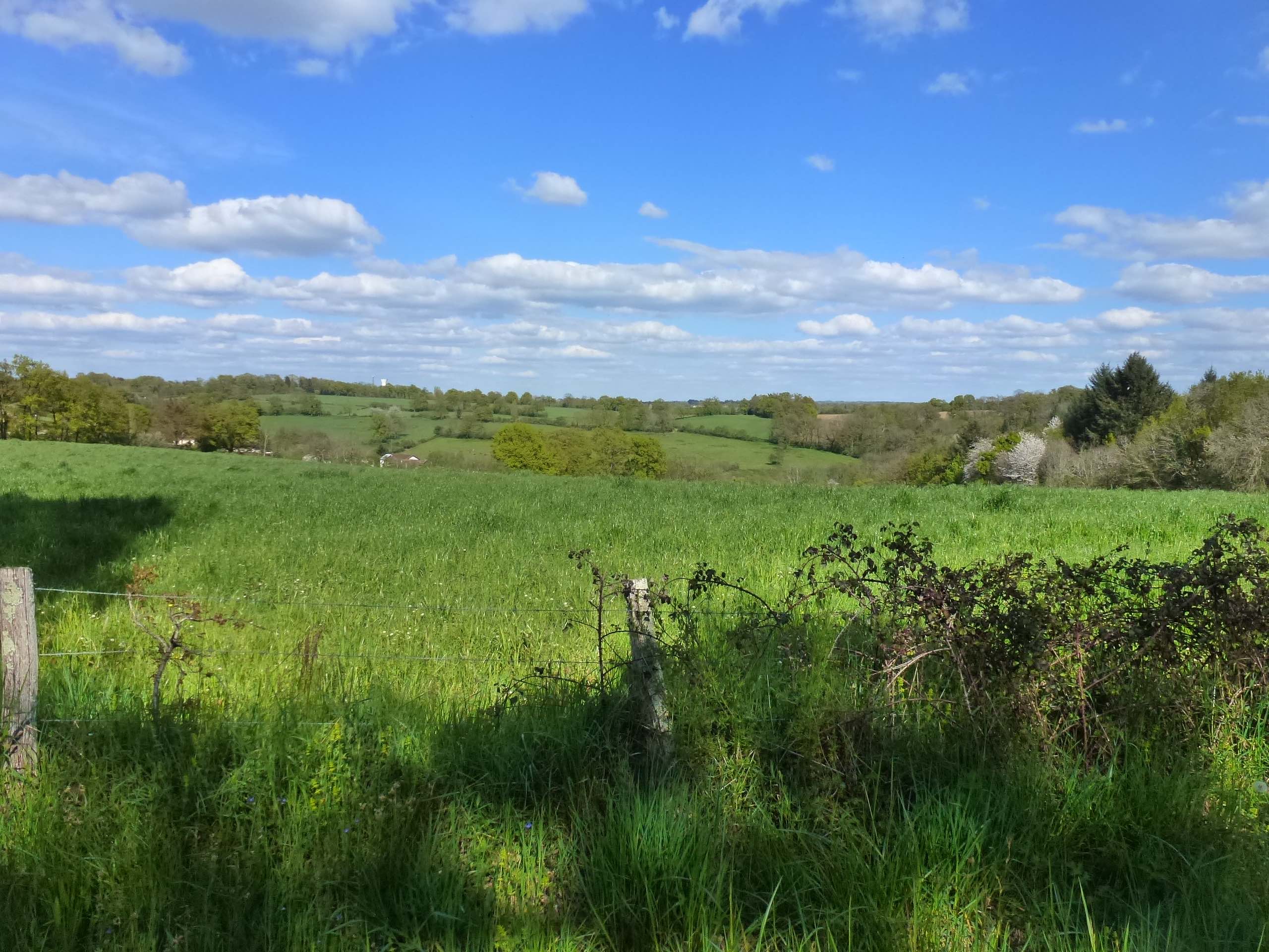 Chemin de Boireau