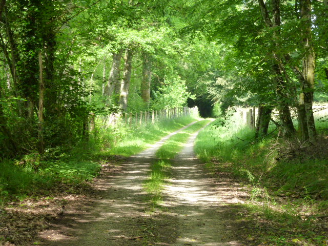 Le Martoulet