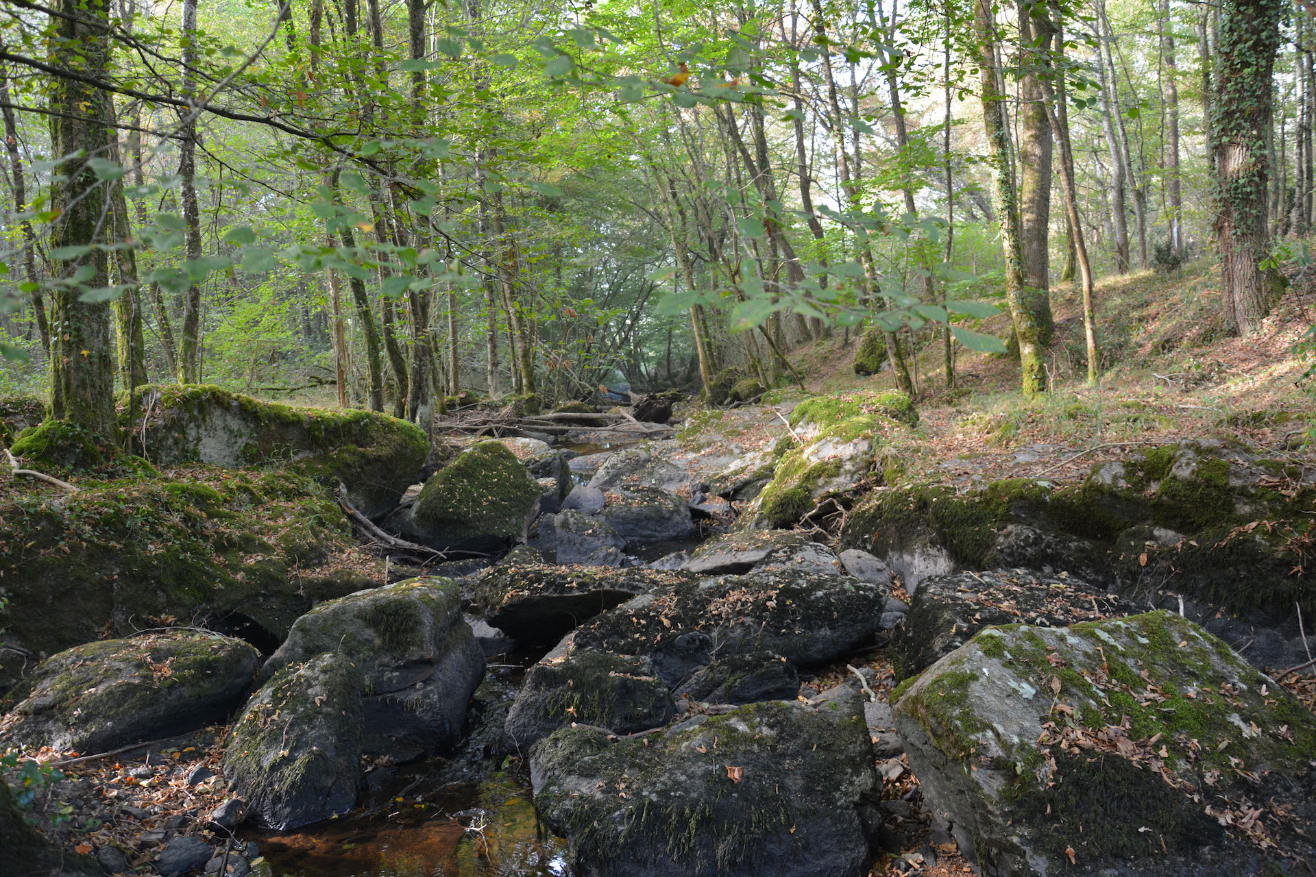 Rochers de l'Isop
