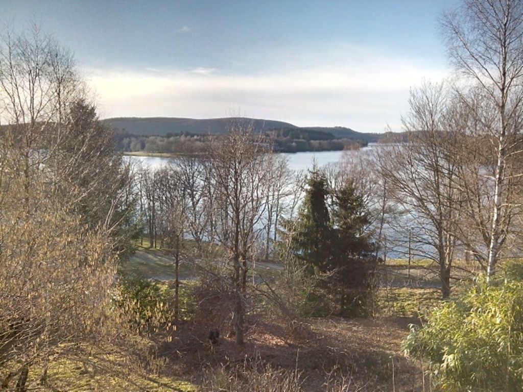 Meublé La Maison bleue du lac