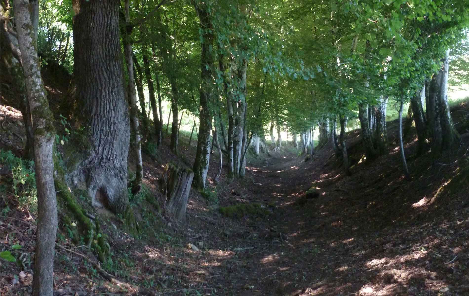 Variante par Lauzeraud - sentier de Meilhac