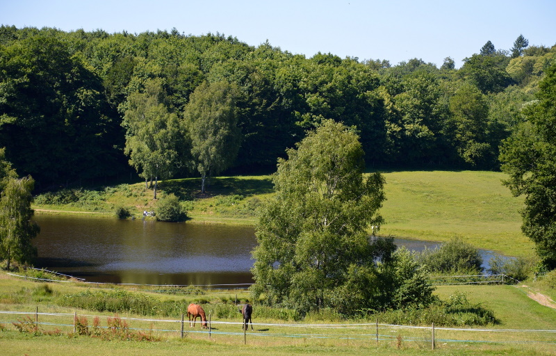 Base VTT FFC des Monts du Limousin - Circuit 3 Puy du Fros