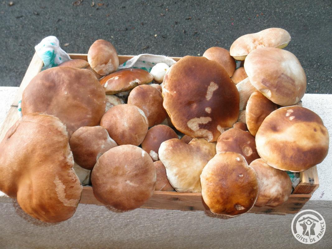 La grange de Maria