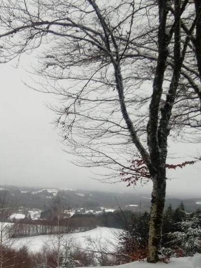 Gîte des Jardinois