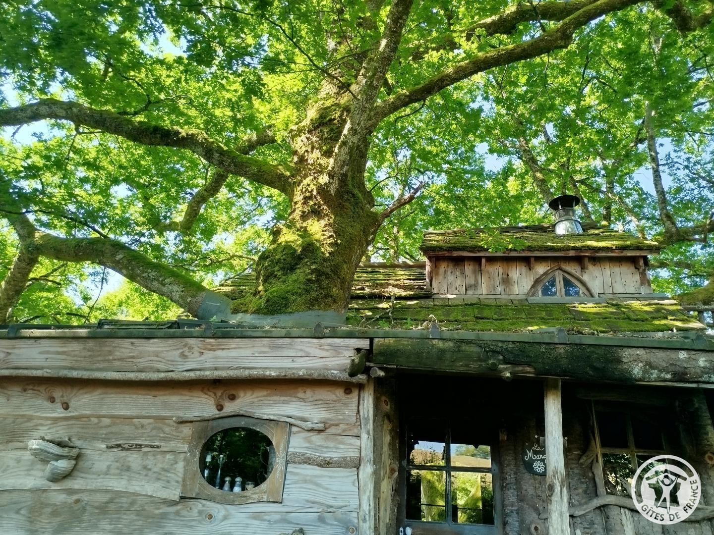 La Margo à La ferme des histoires mélangées
