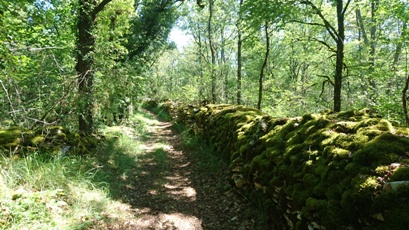 Boucle courte du Donjon