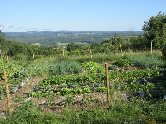 Chambres d'hôtes à Tourtoirac