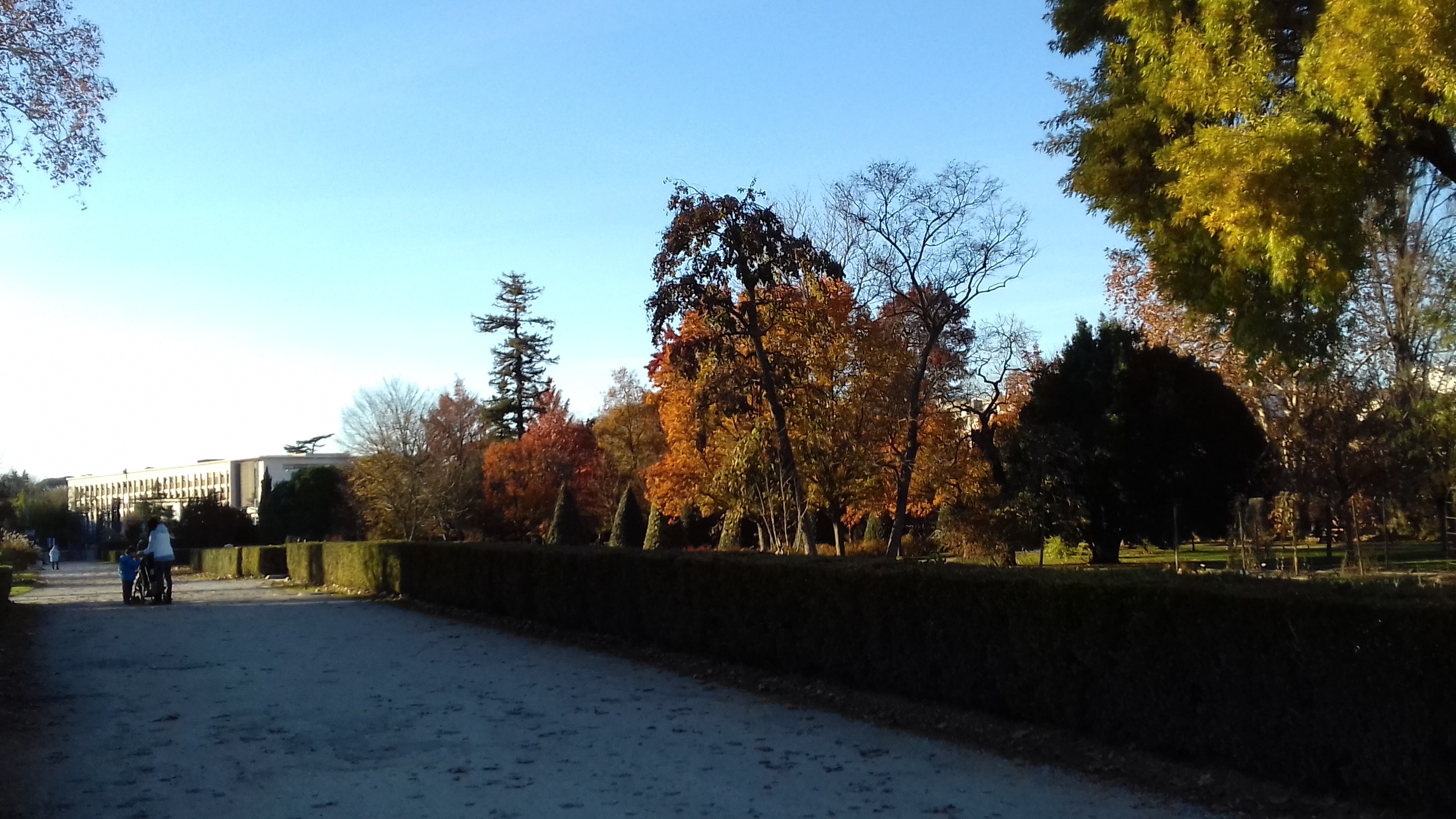 Balade à roulettes : Parc de Peixotto - Impraticable