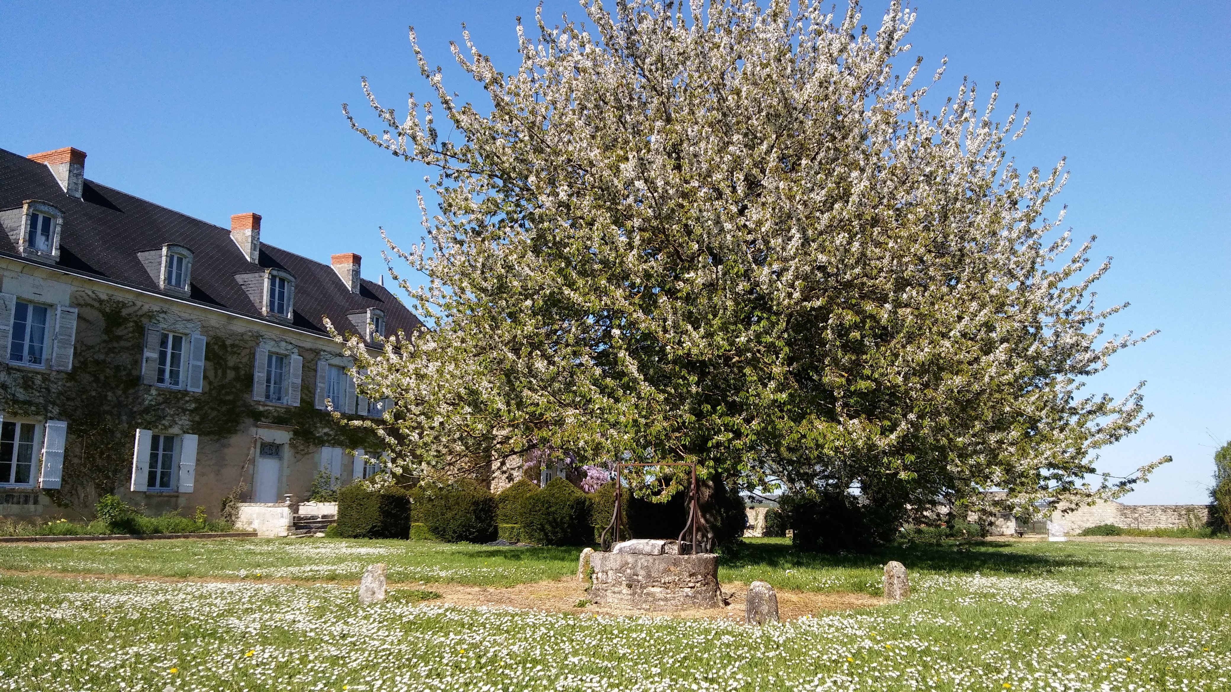 EARL Du Manoir de Vilaines - photo 9