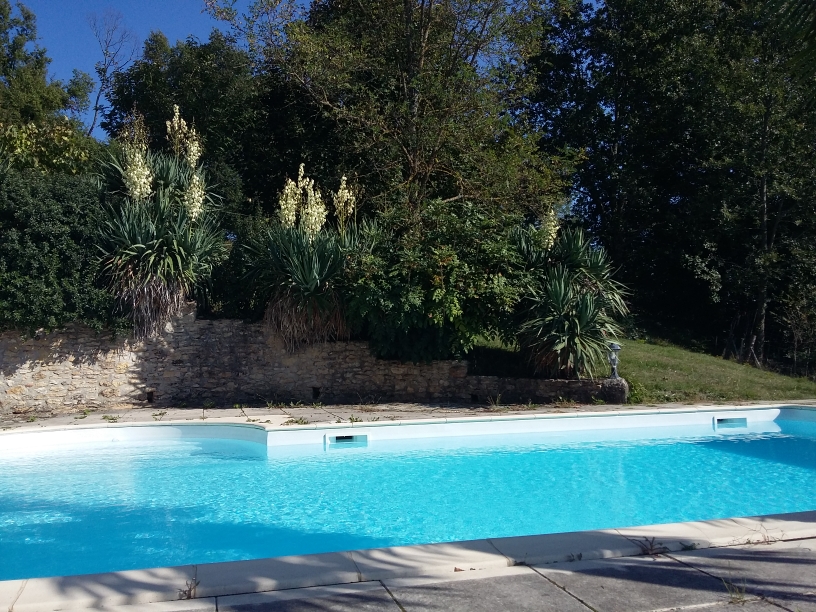 Le Chai, gîte de charme avec piscine