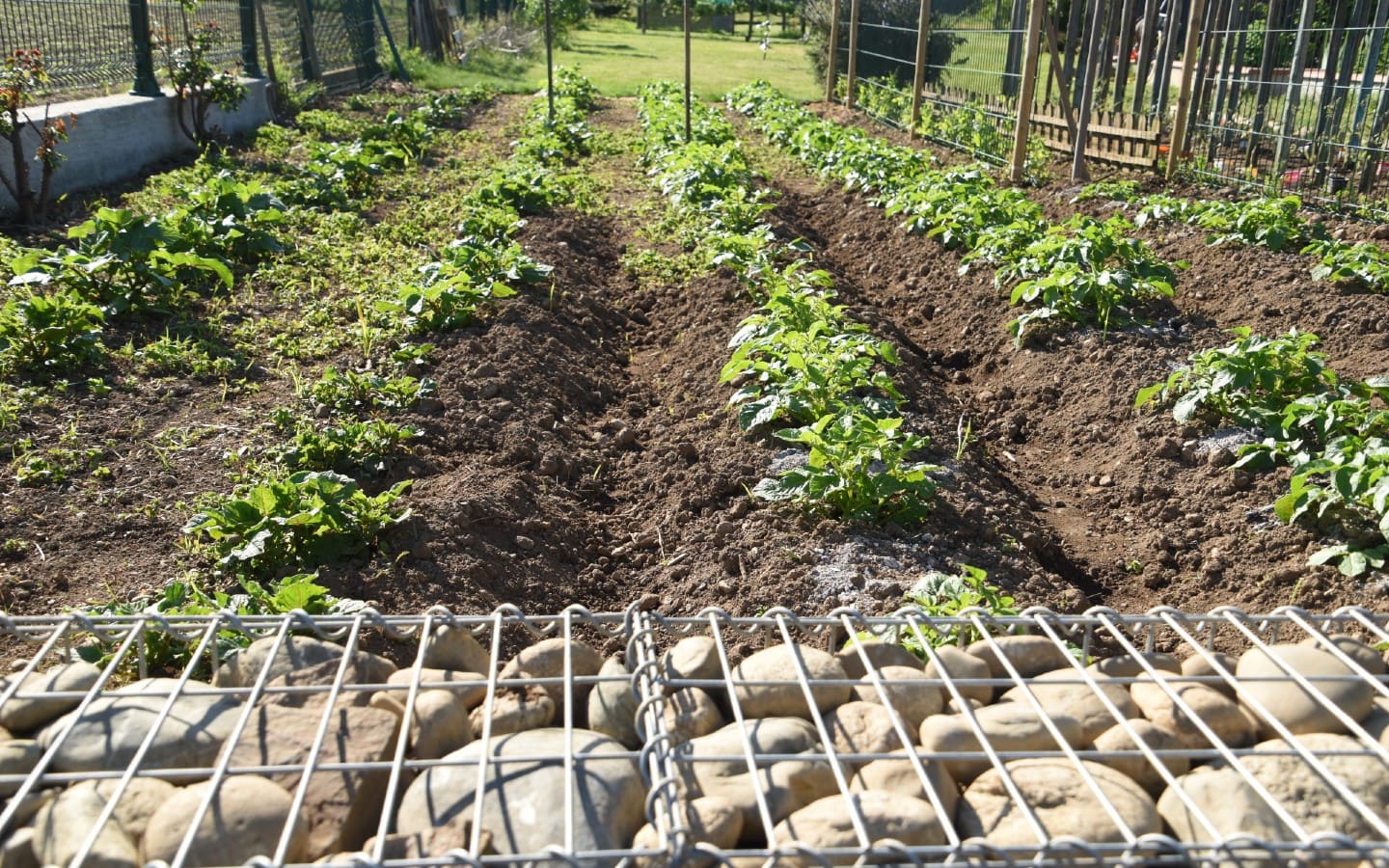Le Jardin du Gave
