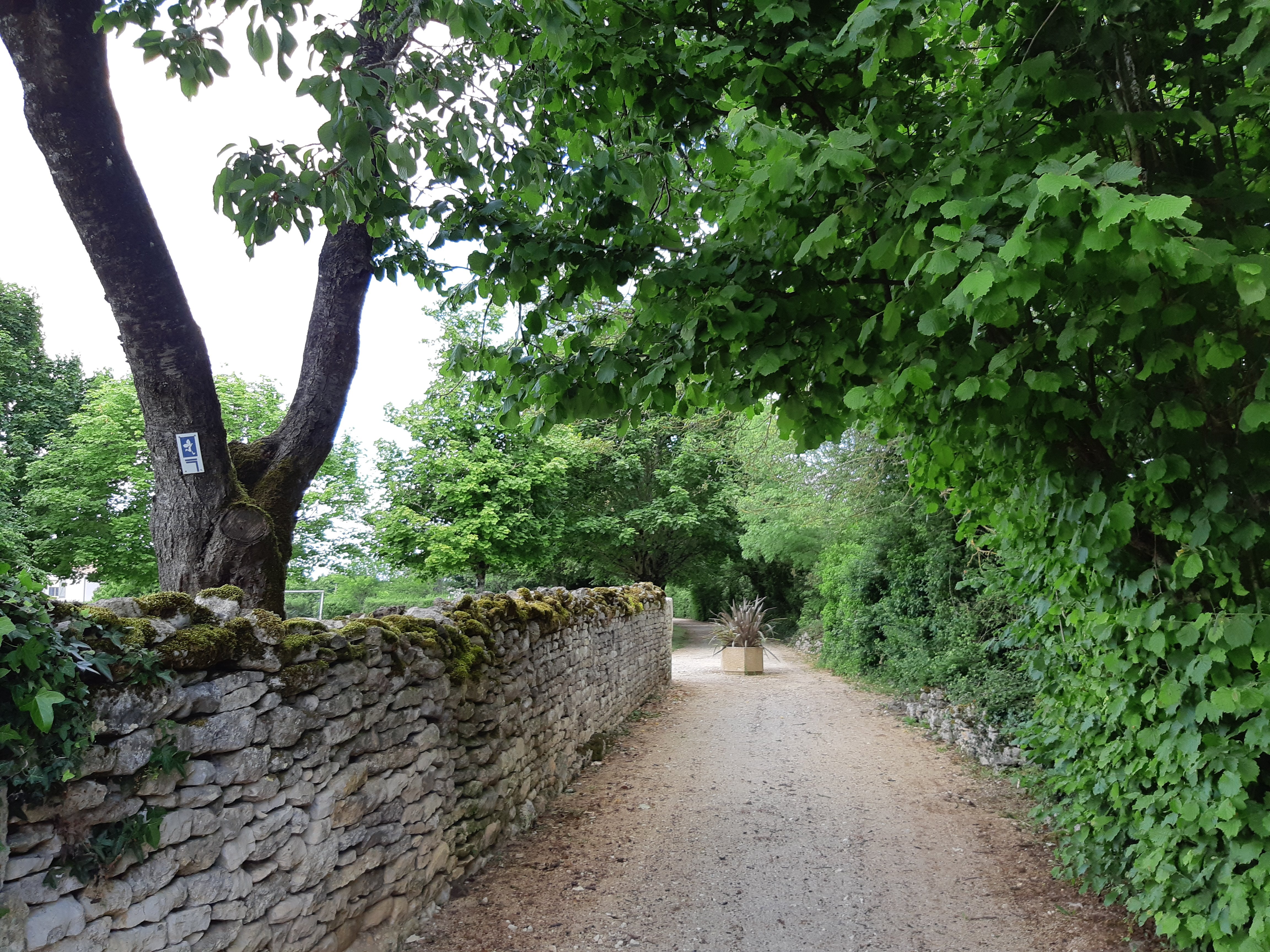 Sentier de la Touche - Bouin