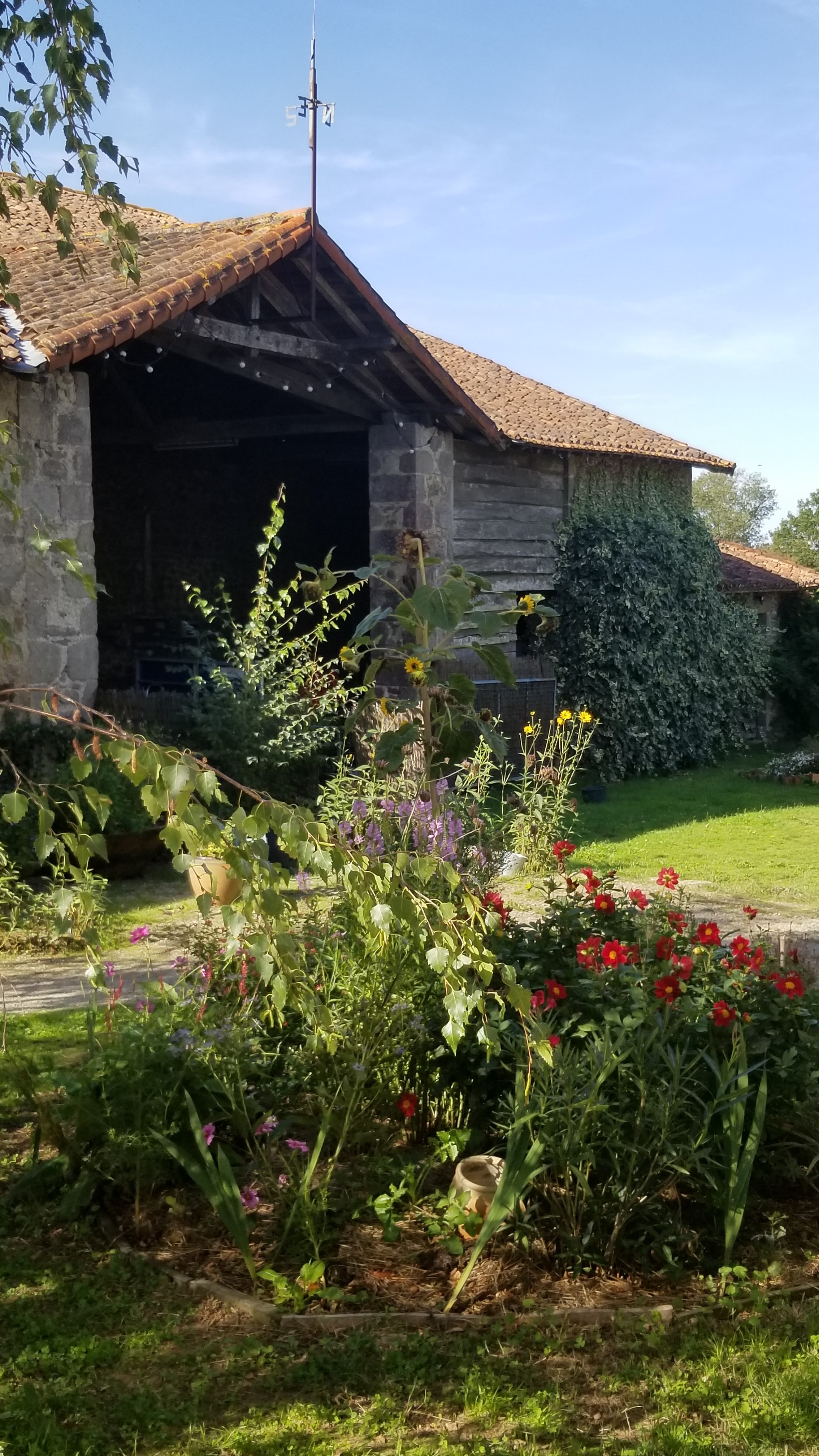 Chambres d'hôtes Les Grippeaux - les Tilleuls - Amarante
