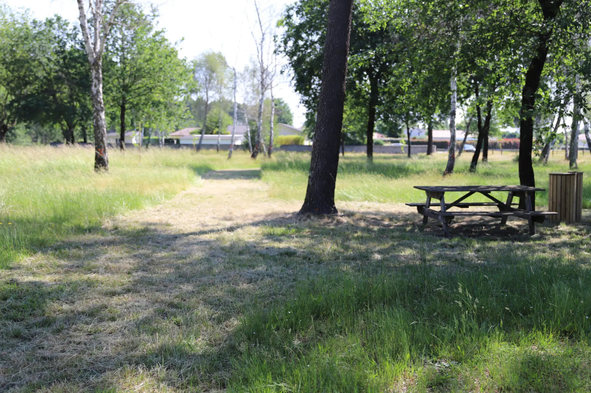 Parc du cimetière
