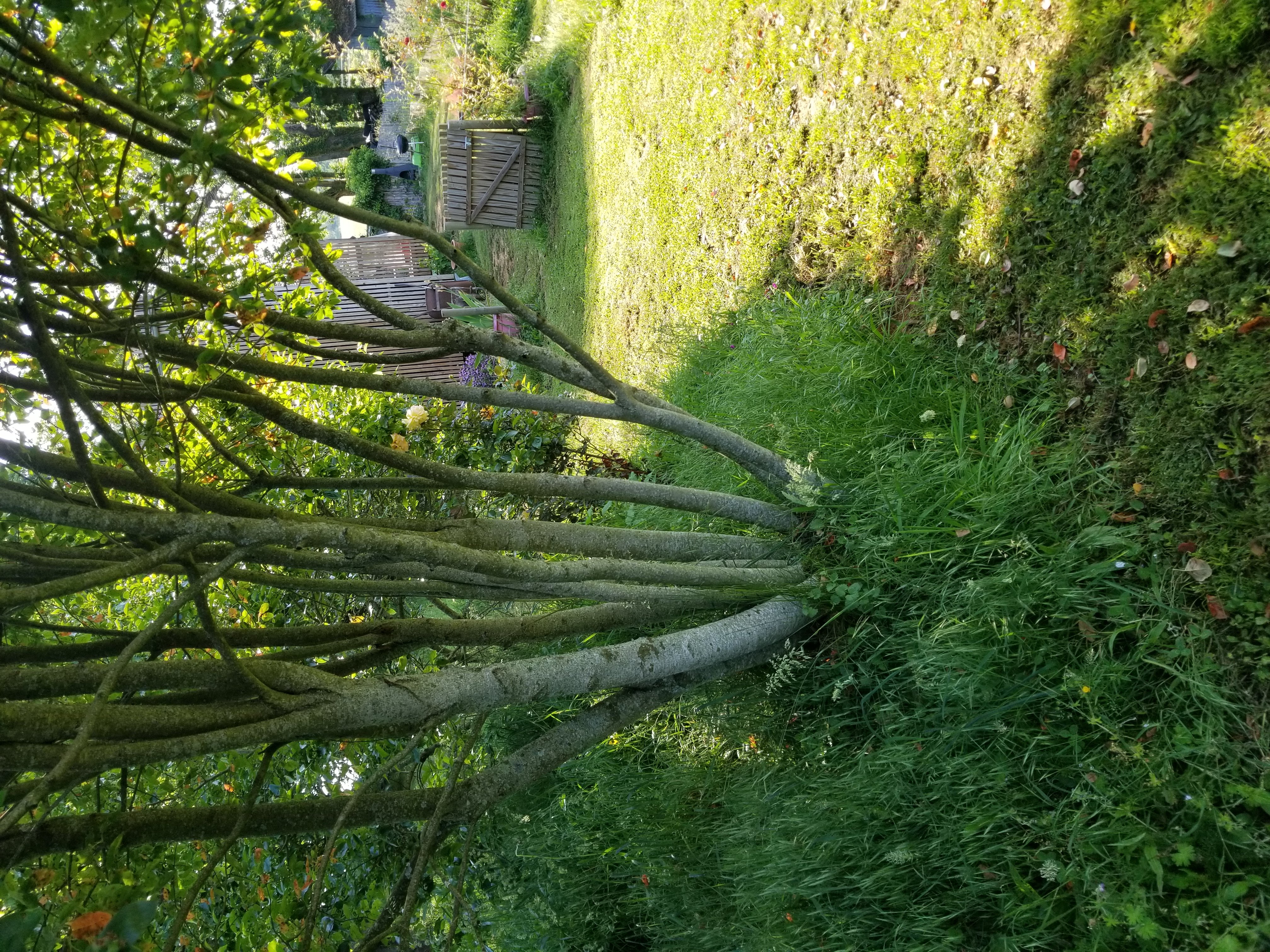 Le Petit Paradis