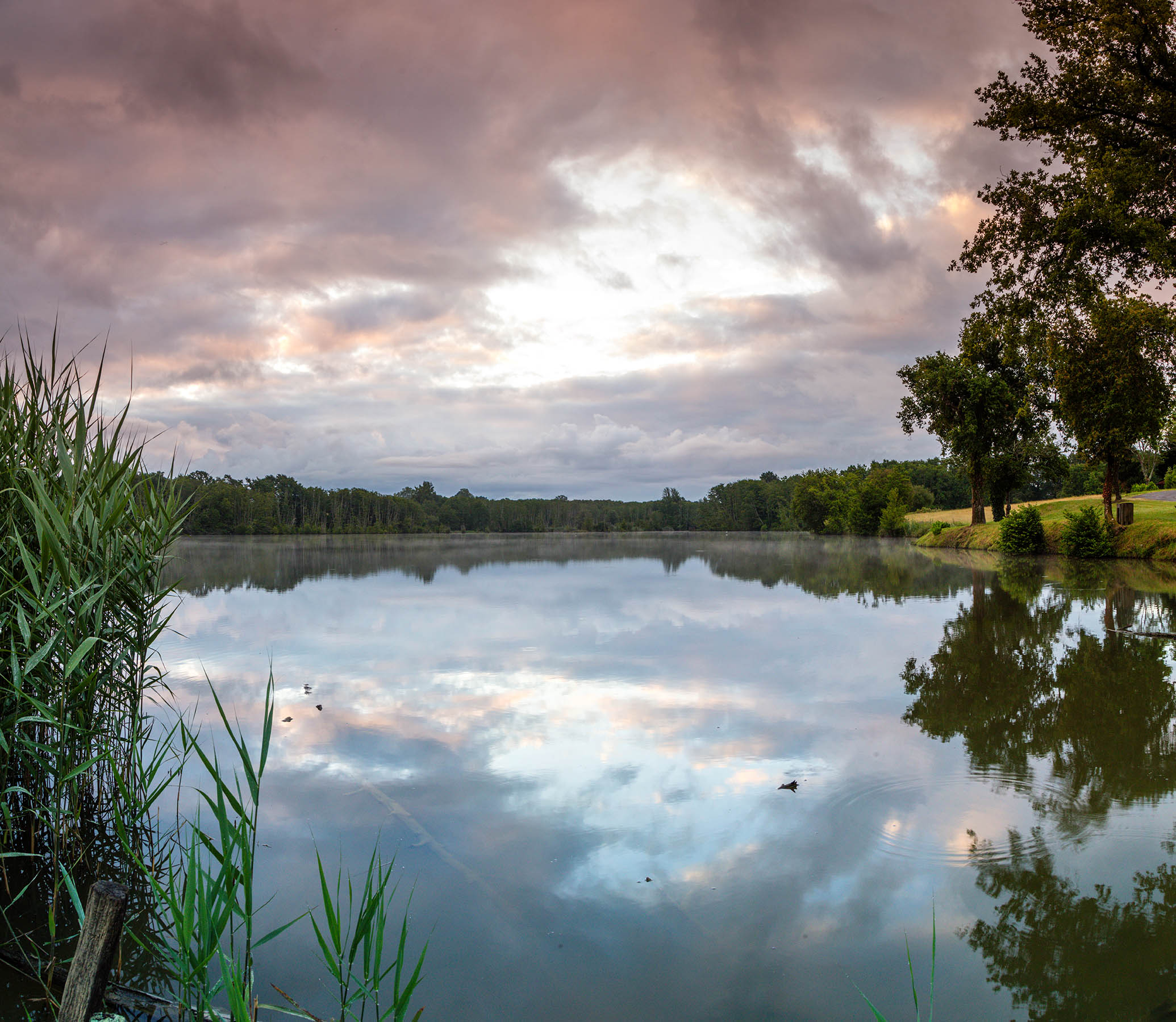 Grand Etang