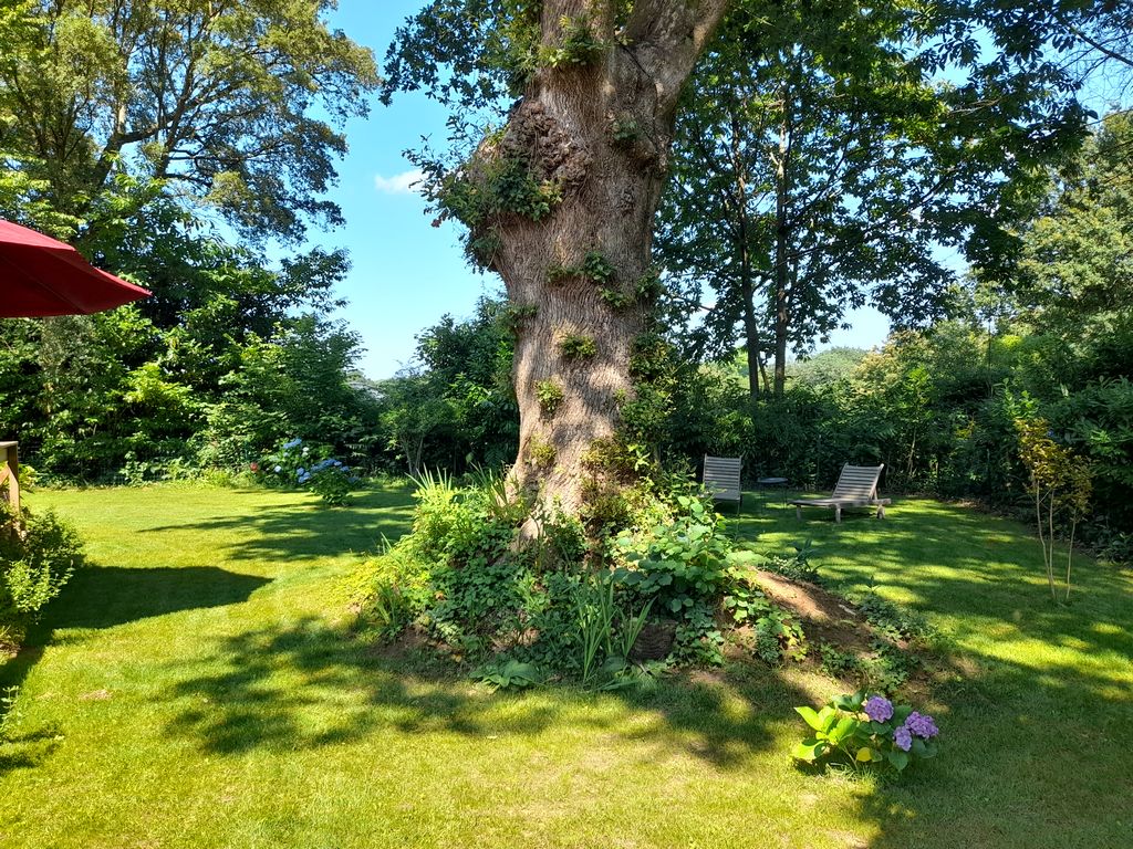 La Clairière du Seignanx