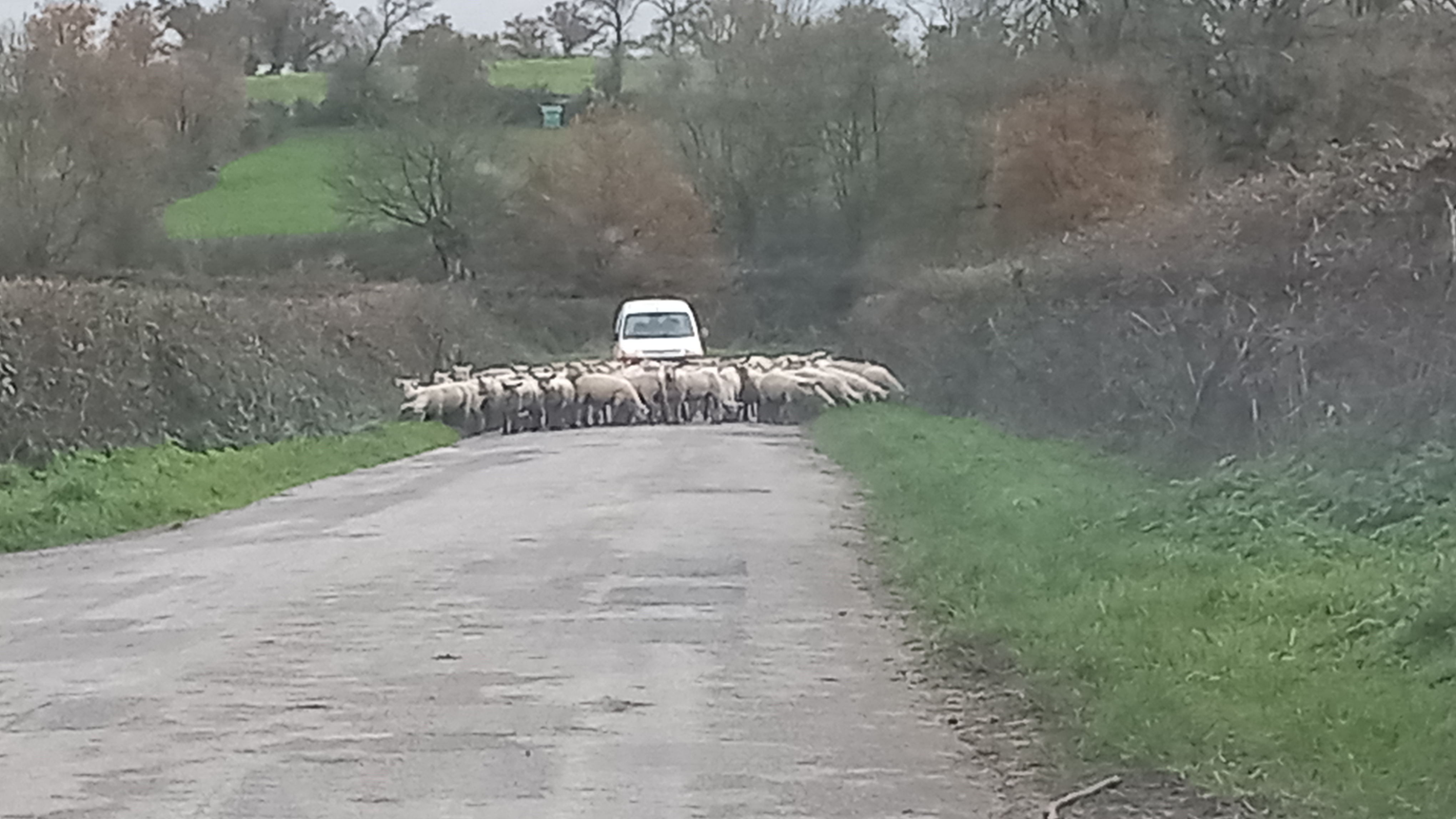 Chambres d'hôtes Les Grippeaux - les Tilleuls - Amarante