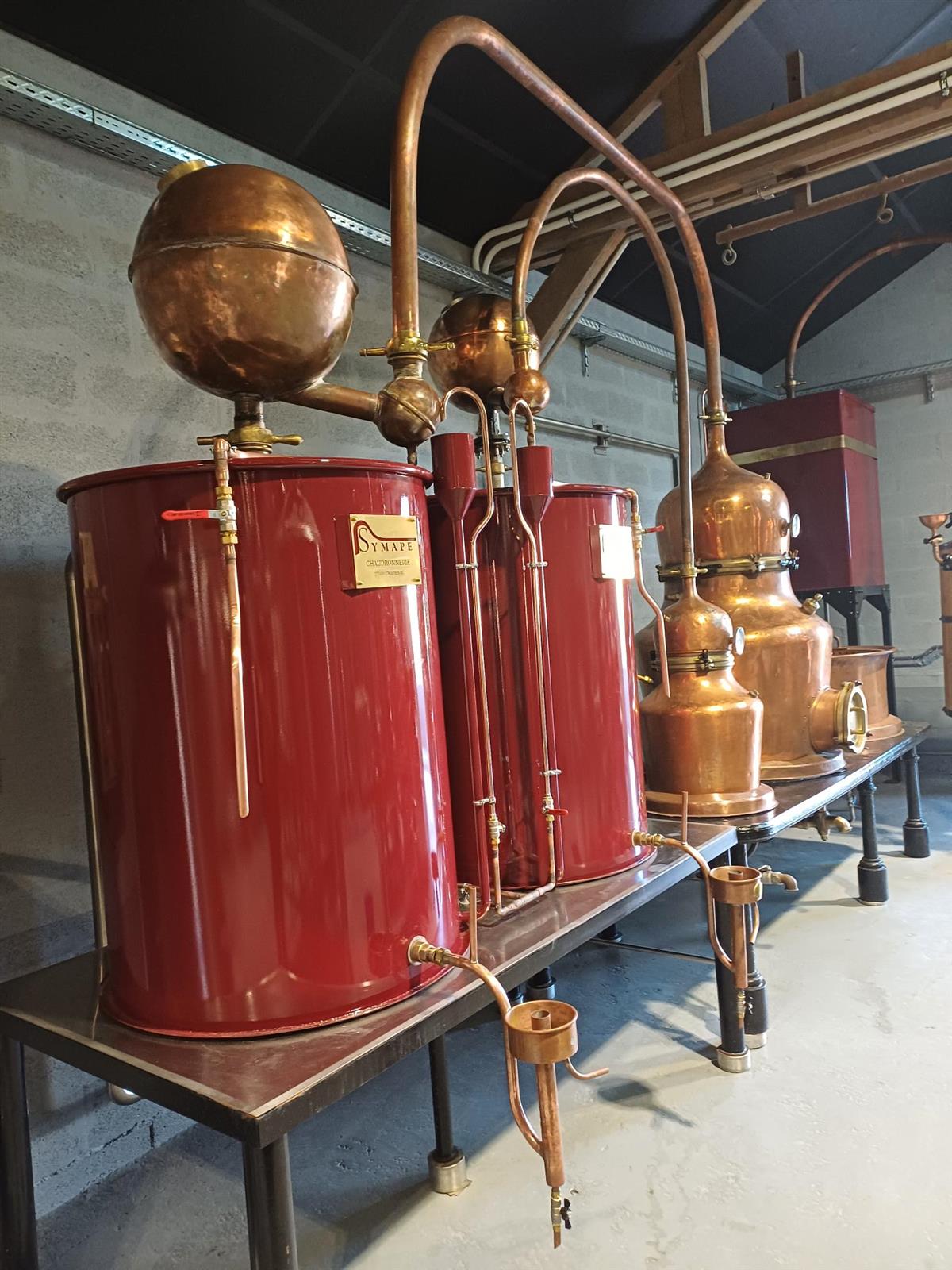 Affiche ou photo : Ici, nos savoir-faire - Visite de la distillerie Benoît Serres