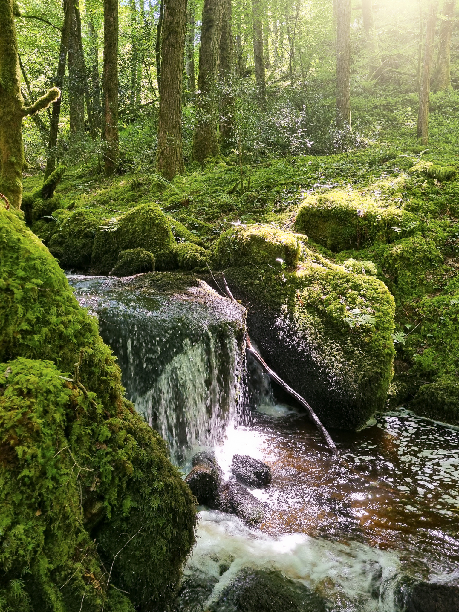 Les Roudouloux