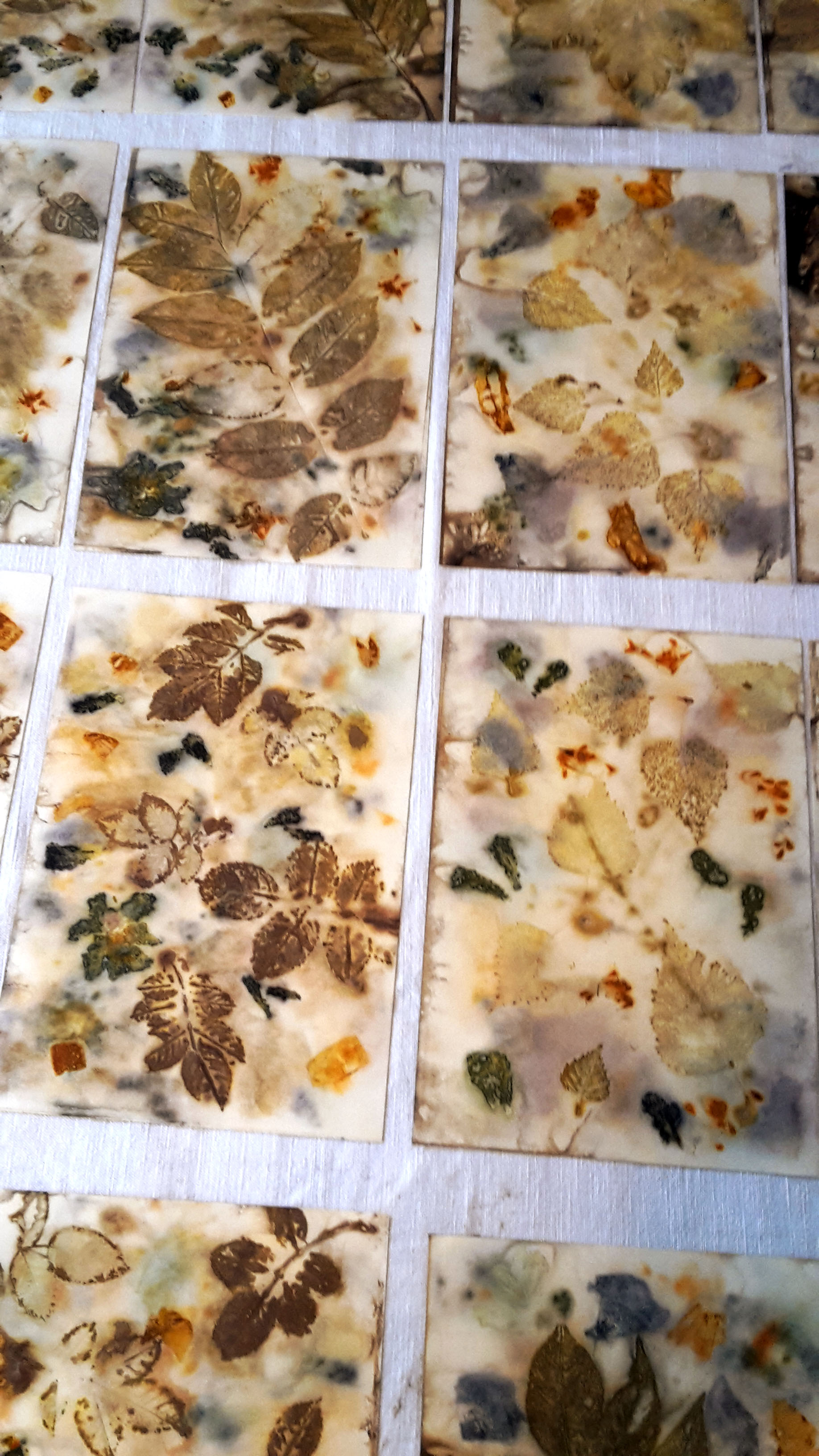Atelier Après-midi "Empreinte végétales sur papier"