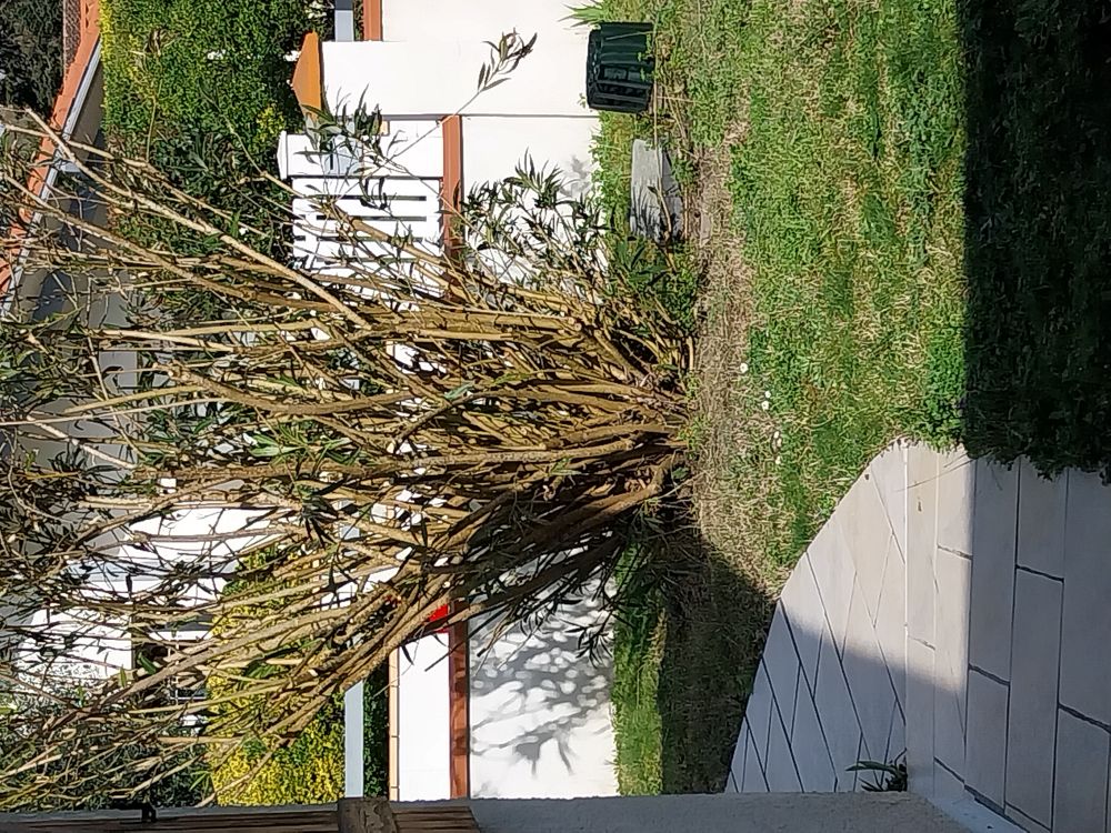 T2 - 1 à 2 pers. - MART9/F