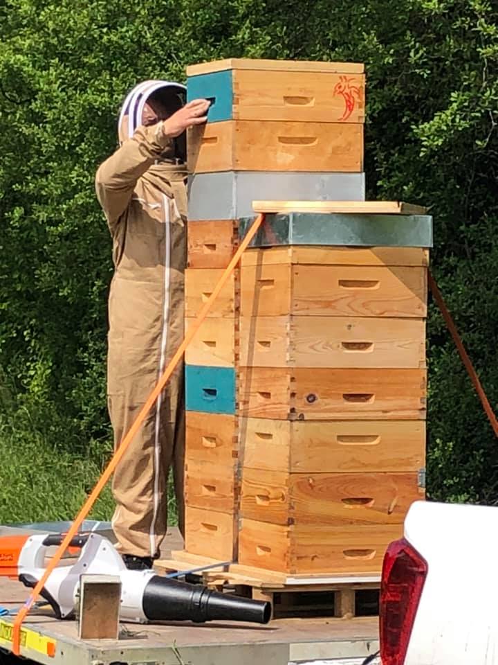 Arts Abeilles Apiculture - Haras des Star : miel et produits de la ruche