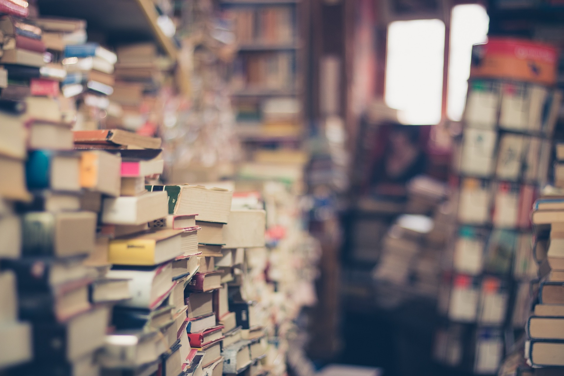 Foire aux livres à La Celle-Dunoise