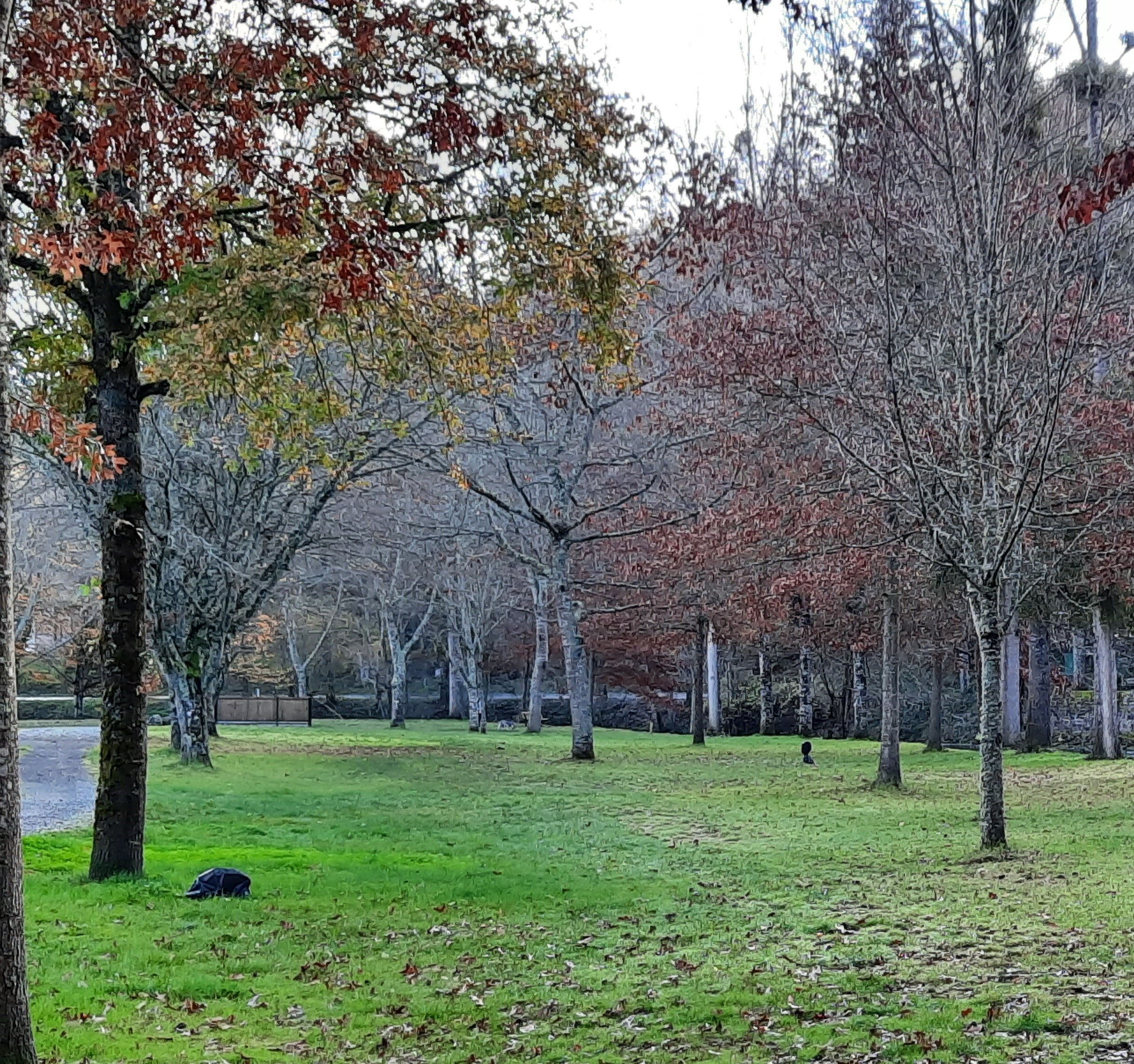Camping Les Sillons