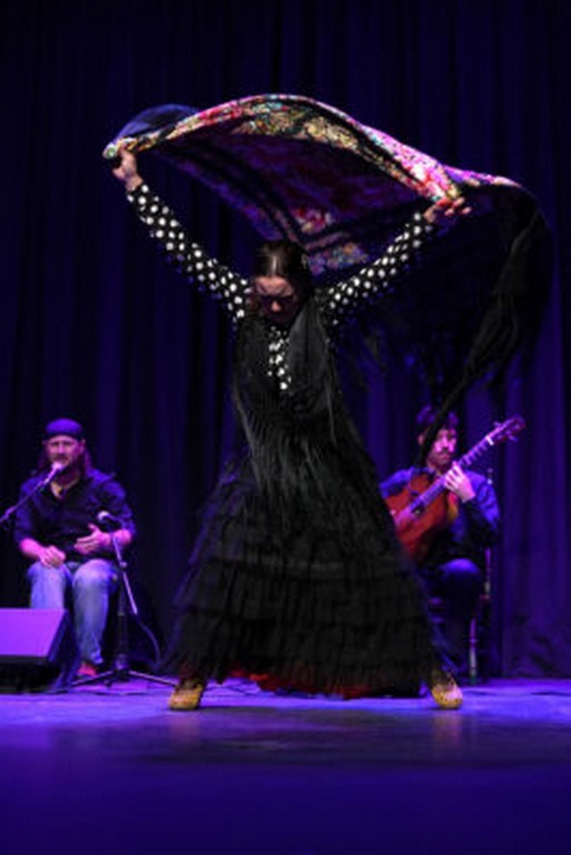 Flamenco en resistencia