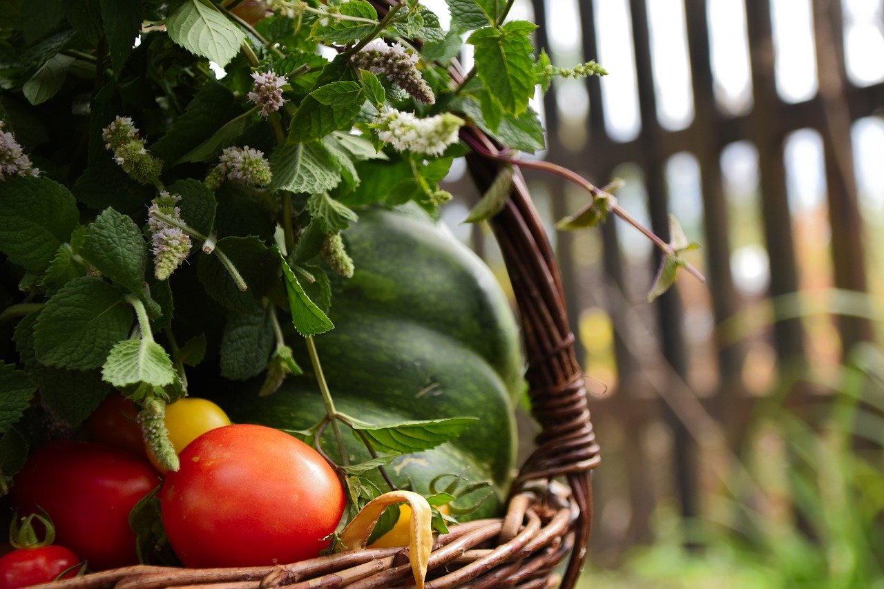 Drive des producteurs A Vendredi