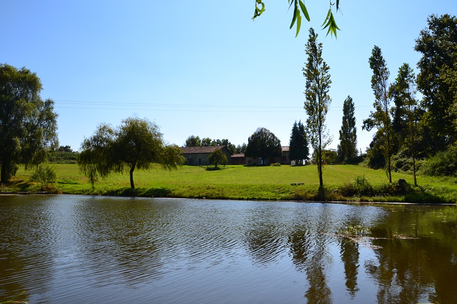 La Lègerie - La Châtaigne