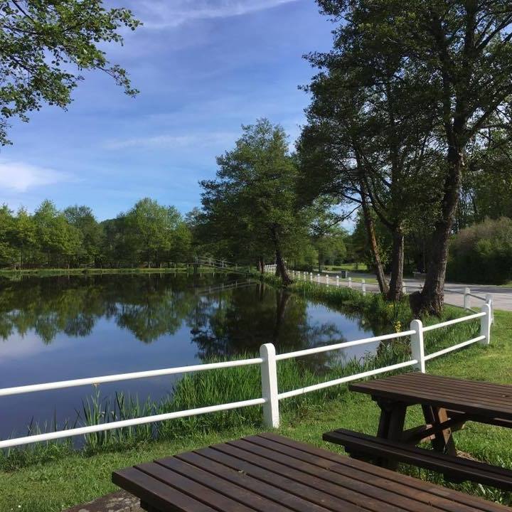Camping Les Vergnes