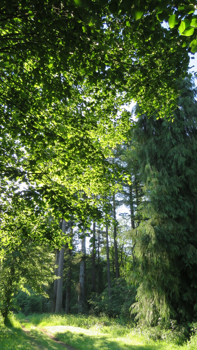 Au fil de la Dejoune - 20 km