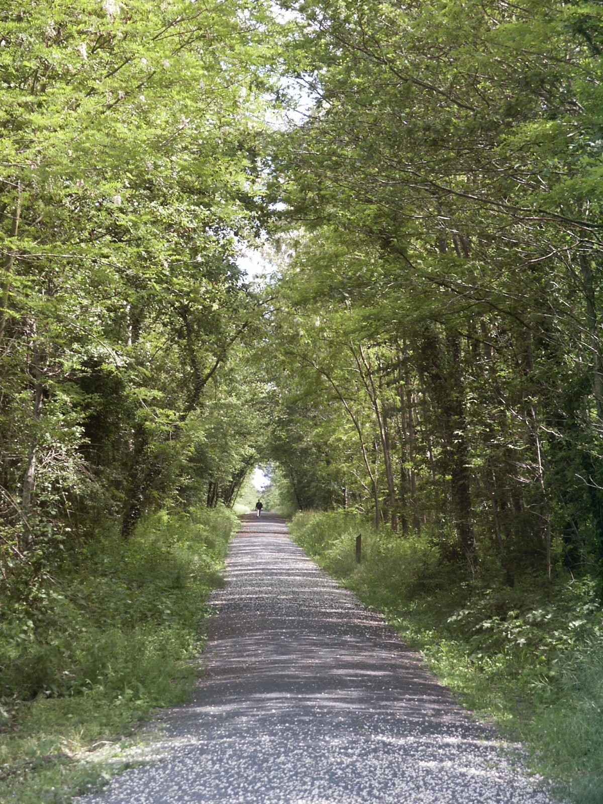 La Ligne Verte dans le Châtelleraudais