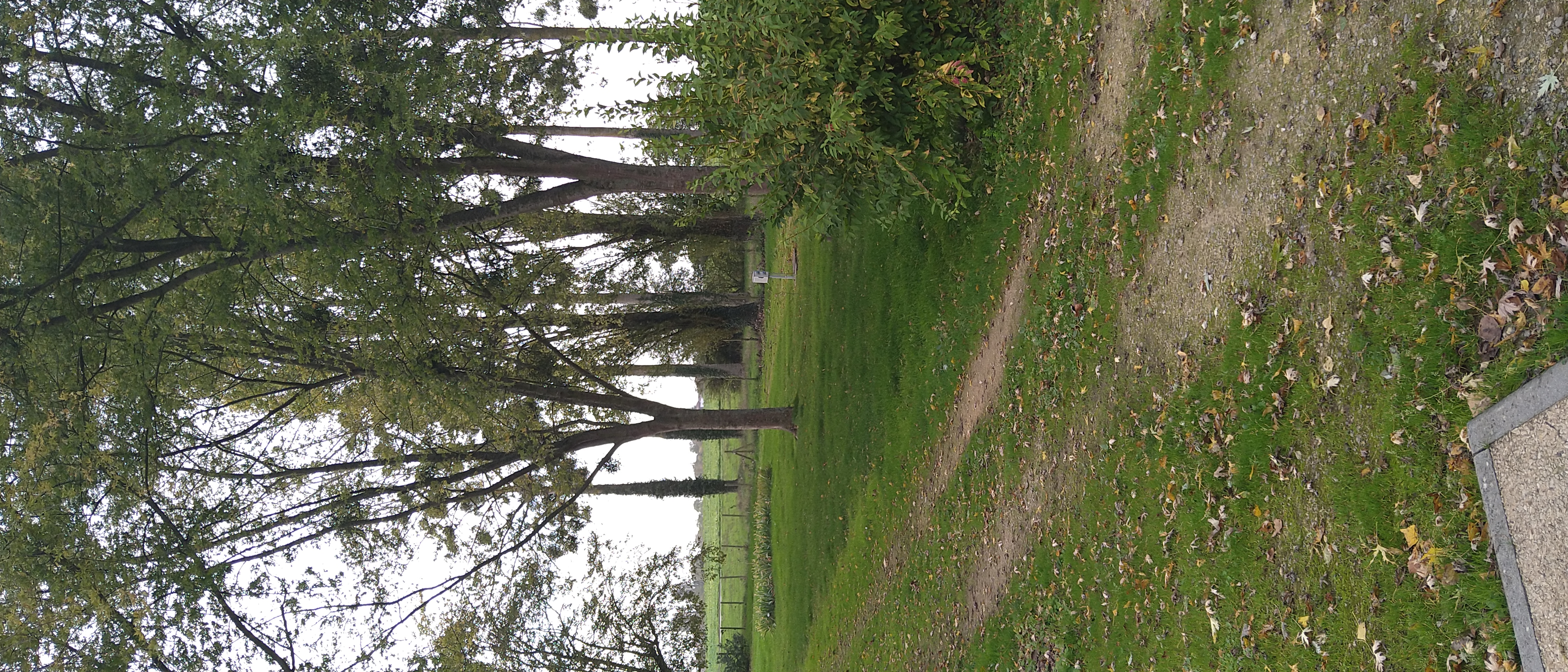 Camping les Iris