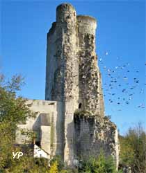 Site castral du Haut Clairvaux