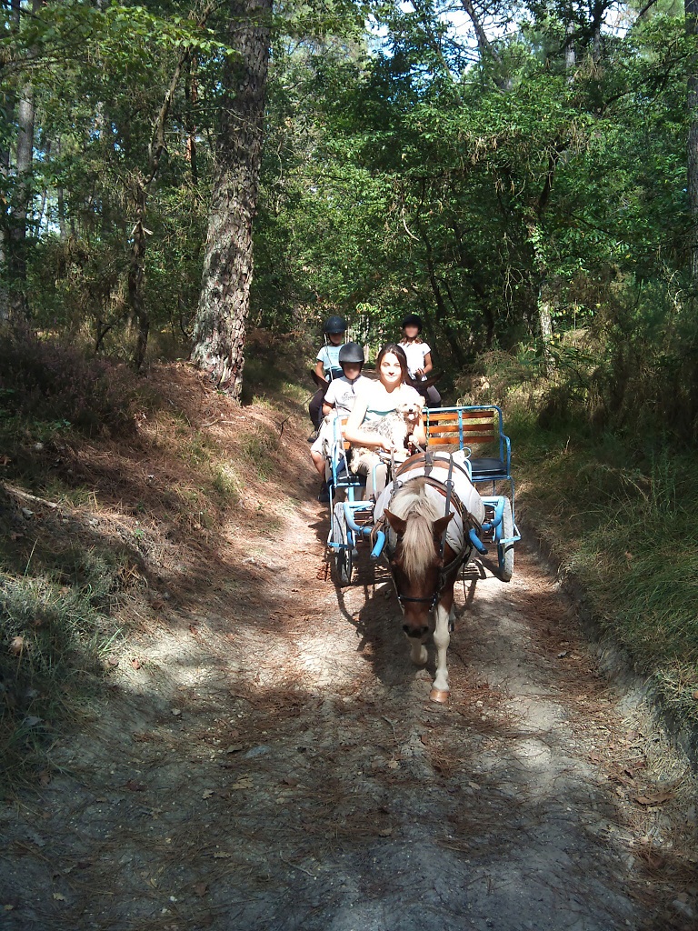Activités autour du poney au Domaine de la Foye