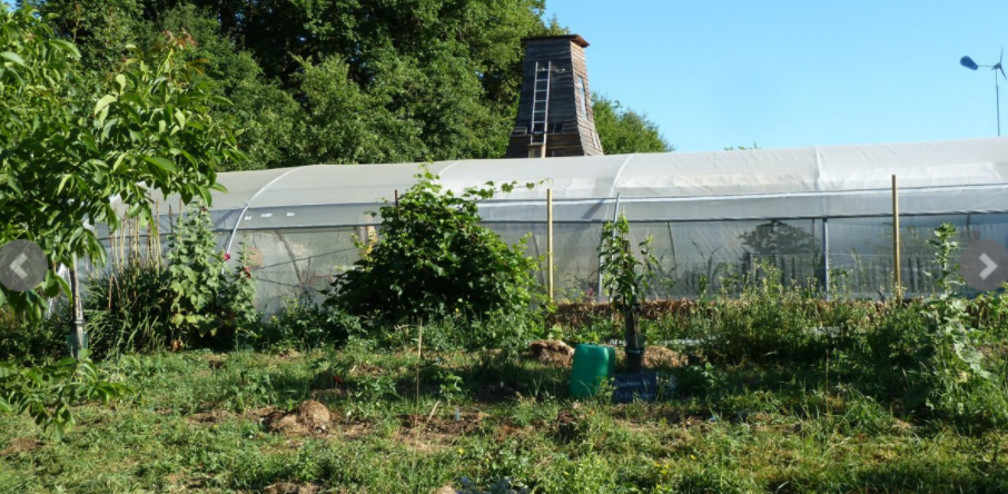 Jardin aux Orobanches