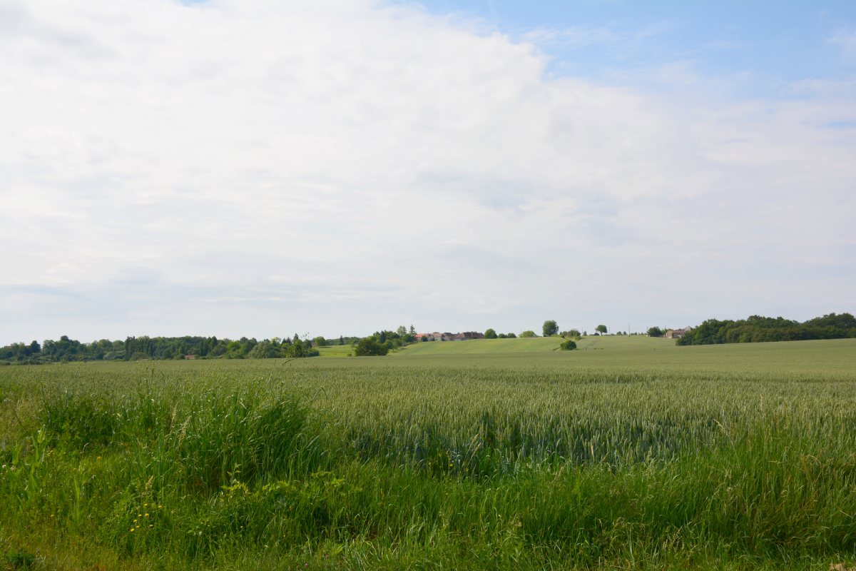 Chemin La Creusette - Circuit n°22