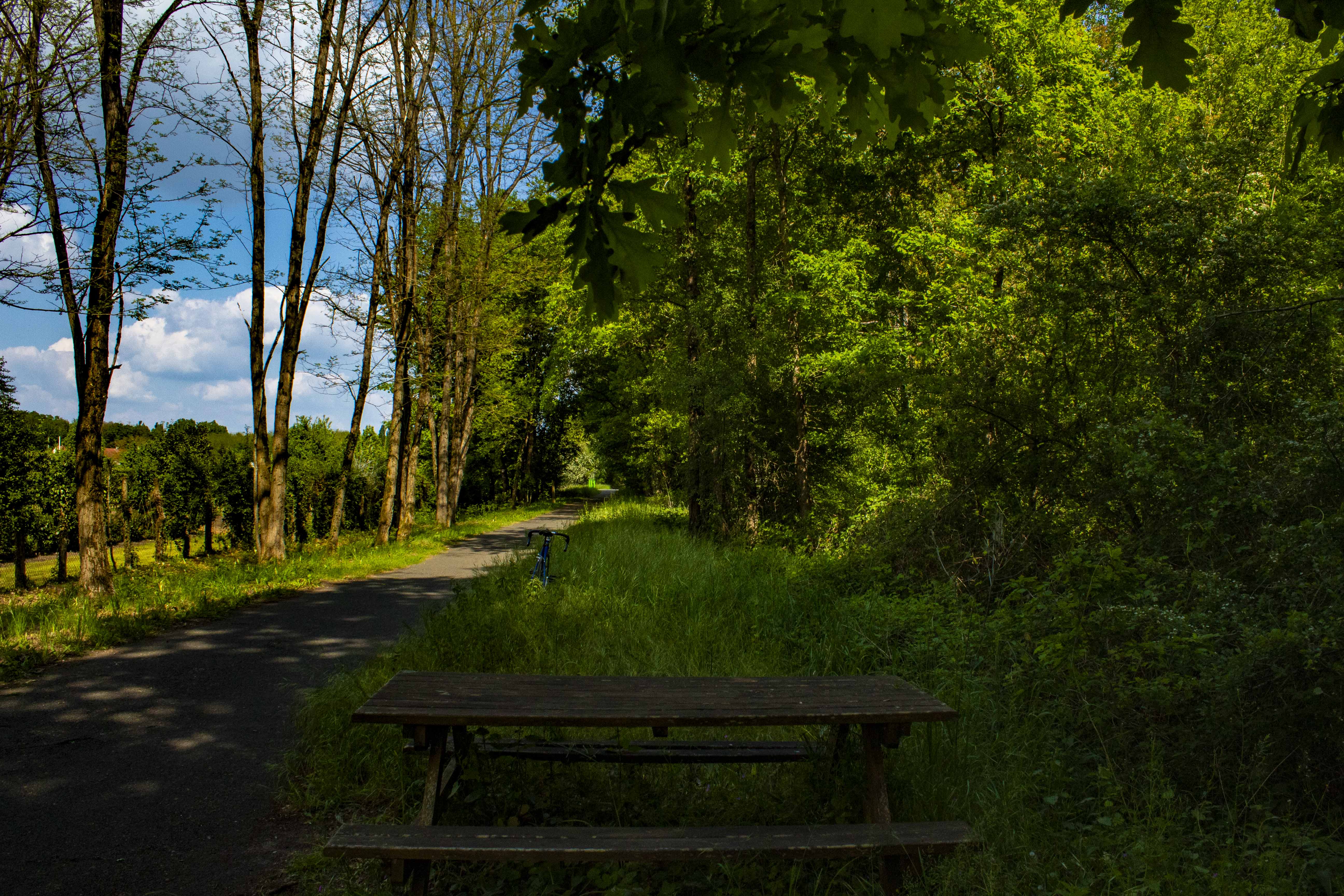 Aire de pique-nique ligne verte de Thuré-Besse