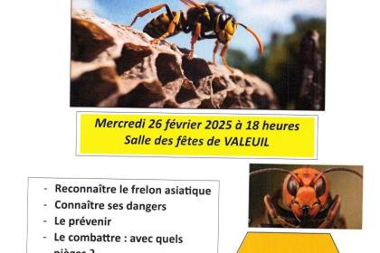 La lutte contre le frelon asiatique nous concerne tous ! 