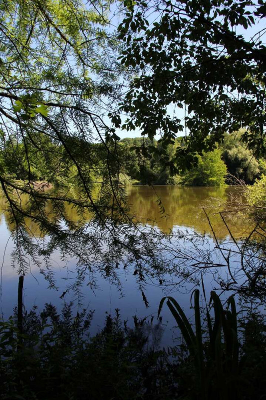 Au Vieux Chêne Au Calme, Avec Étang De Pêche