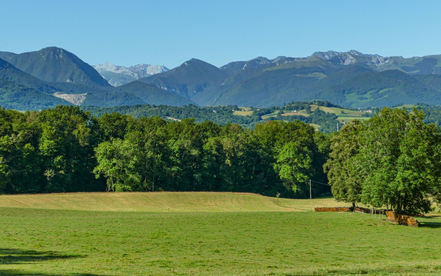 Bois de Coarraze